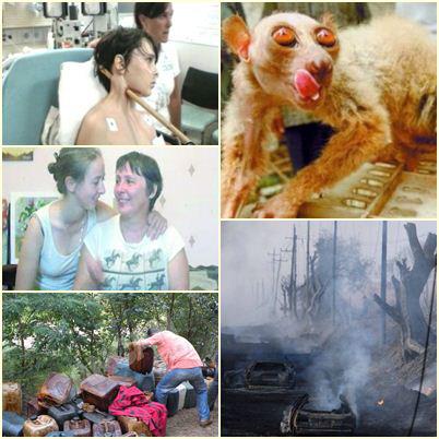 O lume nebuna, Foto: Colaj foto