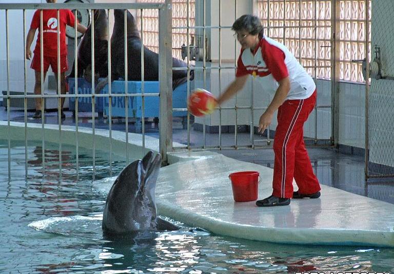 Delfinariul din Constanta, Foto: Agerpres