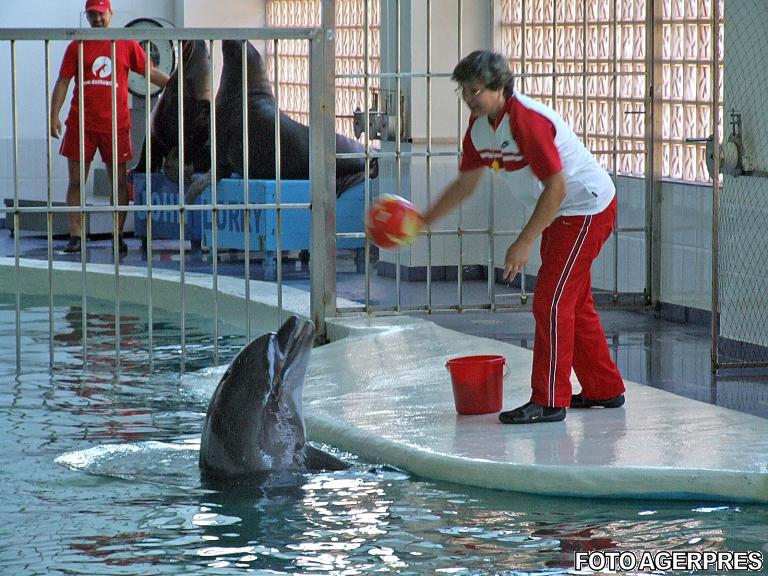 Delfinariul din Constanta, Foto: Agerpres