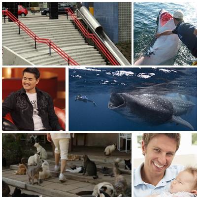 Faze Tari, Foto: Colaj foto