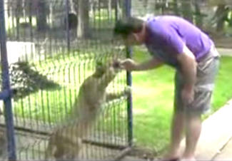 Leii primarului din Navodari, Foto: Captura YouTube