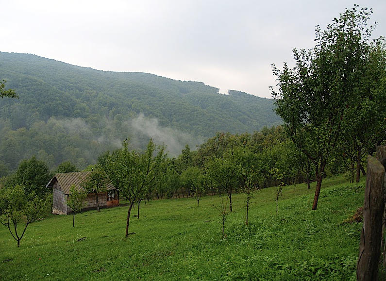 Muscel (Dambovita), Foto: cloverfest.com