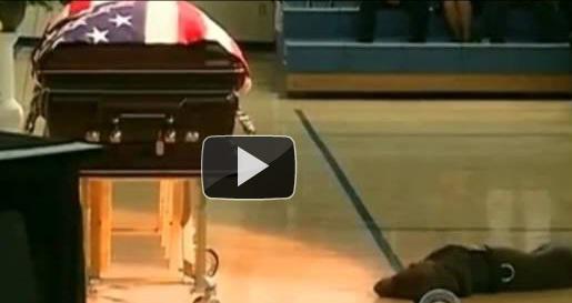 Un patruped loial, Foto: Captura YouTube