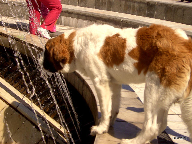 Caldura mare, Foto: USER UPLOADED