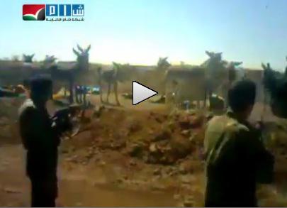 Imagini socante, Foto: Captura LiveLeak