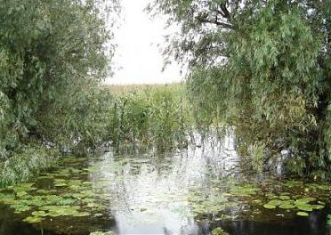 Delta Dunarii, Foto: Agerpres