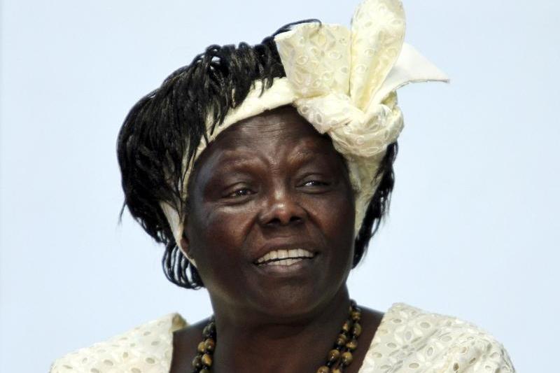 Wangari Maathai, Foto: Reuters