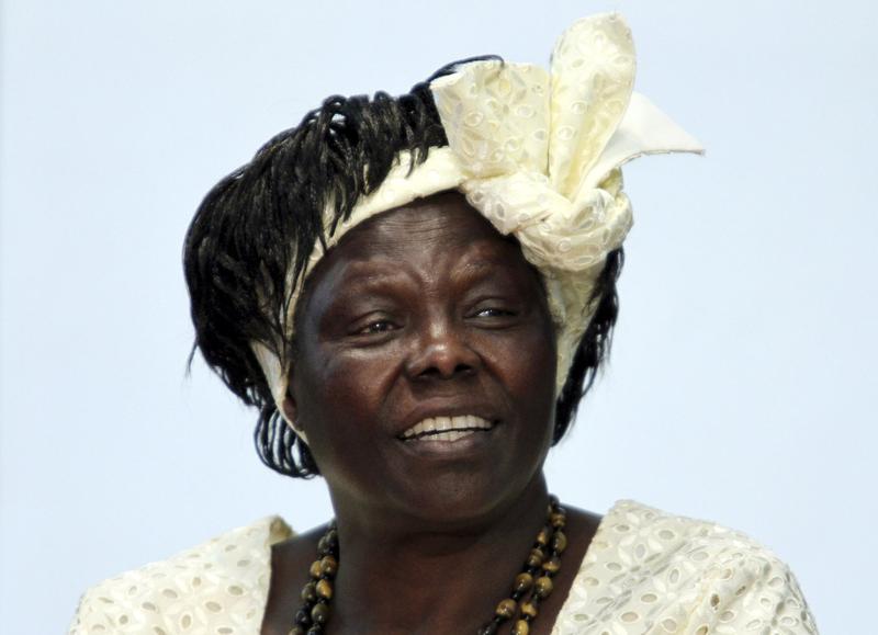 Wangari Maathai, Foto: Reuters