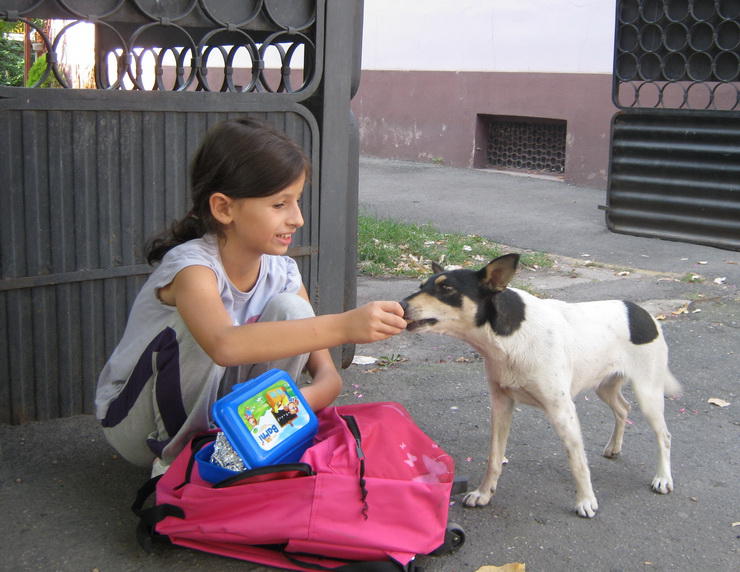 Din bucata mea de paine.., Foto: USER UPLOADED