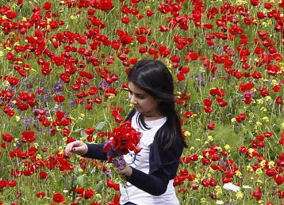 Amintiri din copilarie, Foto: Reuters