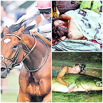 Faze Tari, Foto: Colaj foto