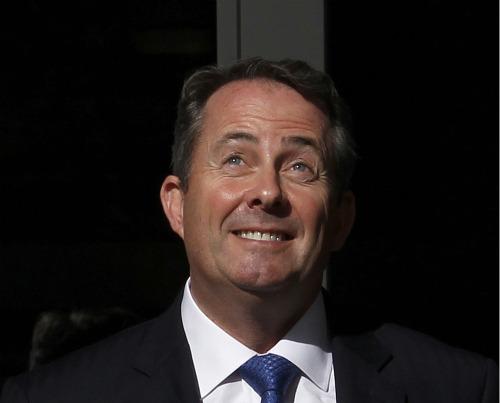 Liam Fox, Foto: Reuters