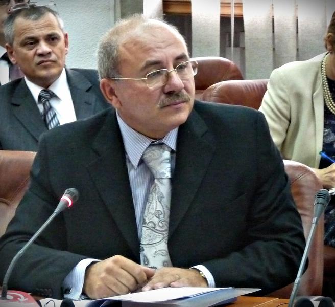 Janica Arion-Tiganasu, directorul DGA, Foto: Hotnews