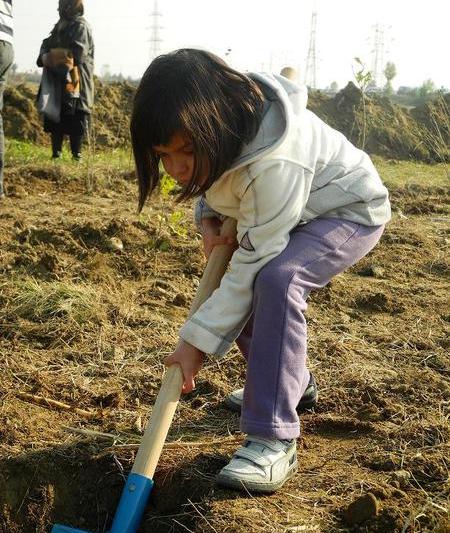 Un copil planteaza un copac, Foto: Mai Mult Verde