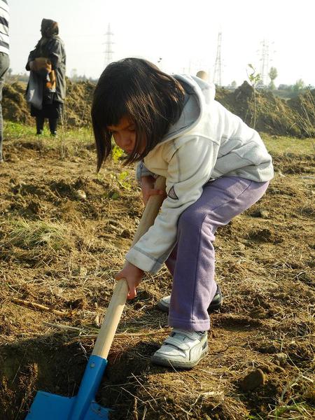 Un copil planteaza un copac, Foto: Mai Mult Verde