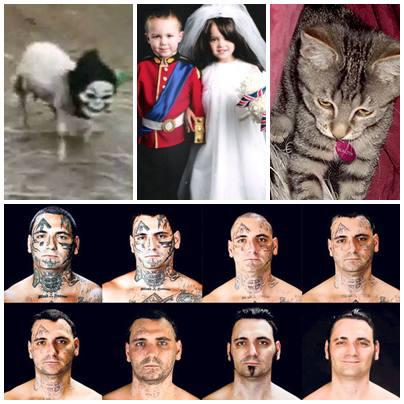 Faze tari, Foto: Colaj foto