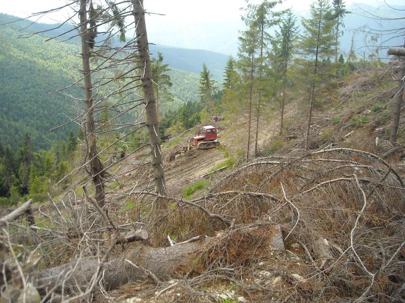 Defrisari, Foto: USER UPLOADED