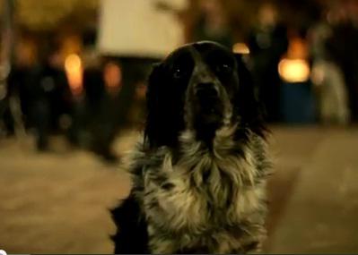 Shelby, liderul Occupy Denver, Foto: Captura YouTube