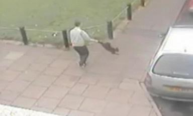 Imagini violente, Foto: Captura Yahoo!