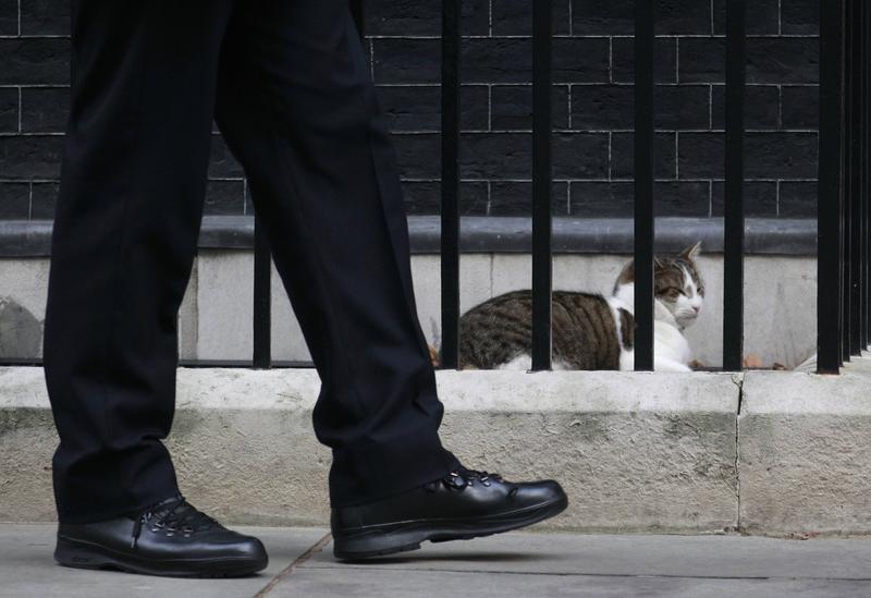 Larry the Cat, Foto: Reuters