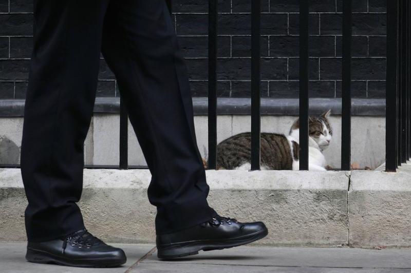 Larry the Cat, Foto: Reuters