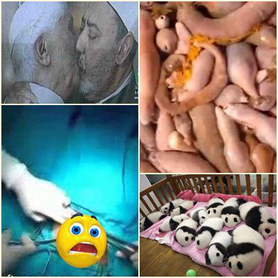 O lume nebuna, Foto: Colaj foto