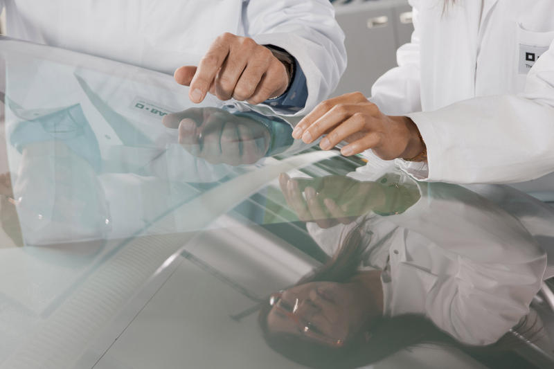 Romania, pe lista potentialelor investitii BASF, Foto: BASF