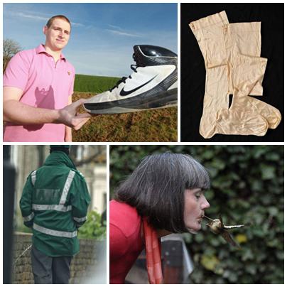 Faze tari, Foto: Colaj foto