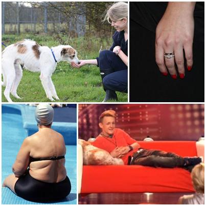 Faze tari, Foto: Colaj foto