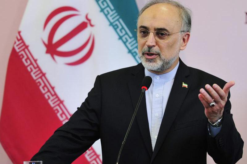 Ali Akbar Salehi, Foto: Reuters