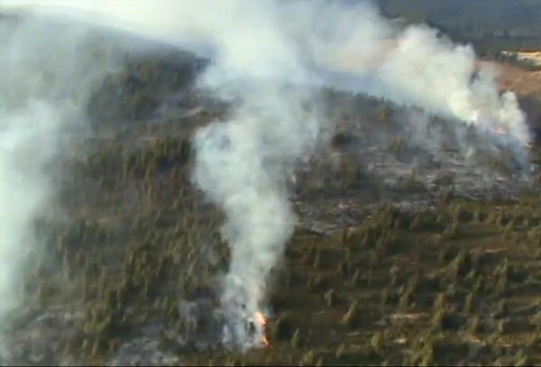 Incendiu Transalpina, Foto: Captura Youtube.com