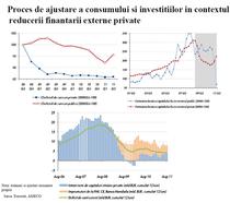 ajustarea consumului