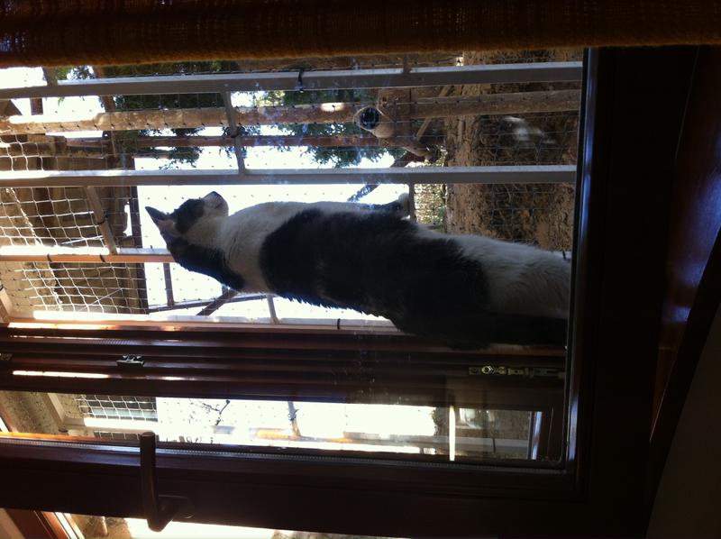 vreau si eu in Schengen!, Foto: USER UPLOADED