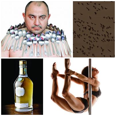 Faze tari, Foto: Colaj foto