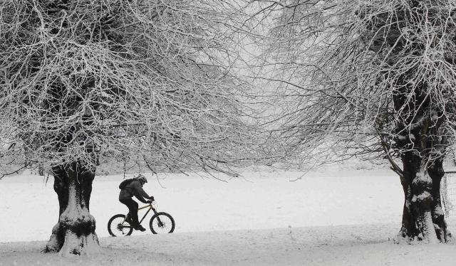 Imagini cu zapada, Foto: Reuters