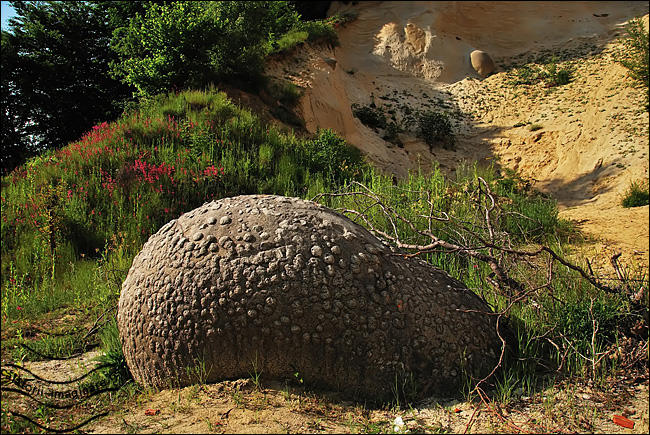 Muzeul Trovantilor, Foto: calatorii-imaginare.ro