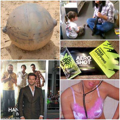 O lume nebuna, Foto: Colaj foto