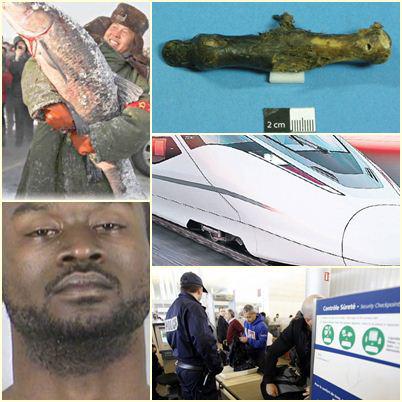 O lume nebuna, Foto: Colaj foto