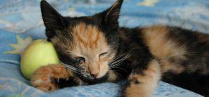 Fiecare organism are propriul ritm, Foto: Dreamstime.com