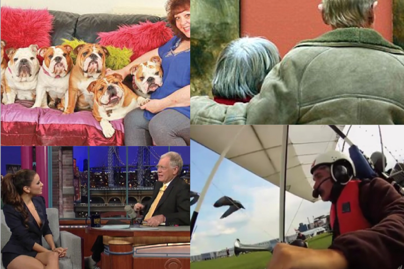 Faze tari, Foto: Colaj foto