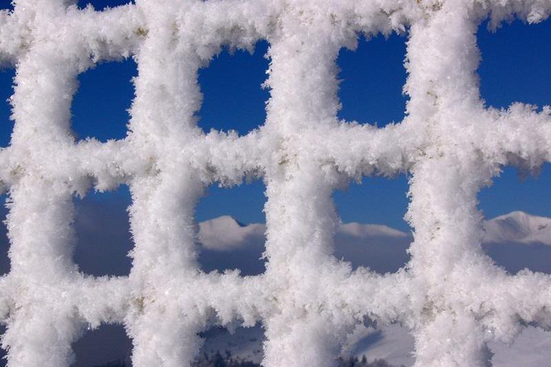 Alb si albastru, Foto: Arhiva personala