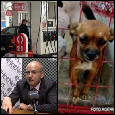 48 de ore pe HotNews, Foto: Colaj foto