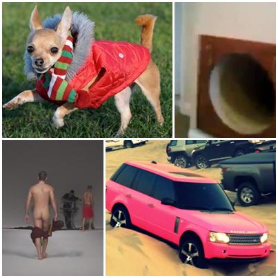 Faze tari, Foto: Colaj foto