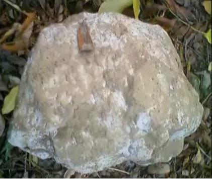 Piatra falsa, Foto: Captura YouTube