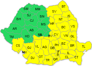 Cod galben, Foto: ANM