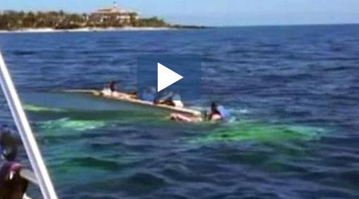 Incident dramatic, Foto: Captura ABC