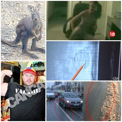 O lume nebuna, Foto: Colaj foto