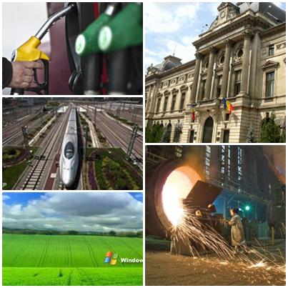 Business report, Foto: Colaj foto