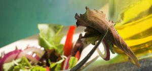 O parte din uleiul de masline extra-virgin este contrafacuta, Foto: Dreamstime.com