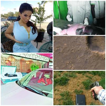 O lume nebuna, Foto: Colaj foto